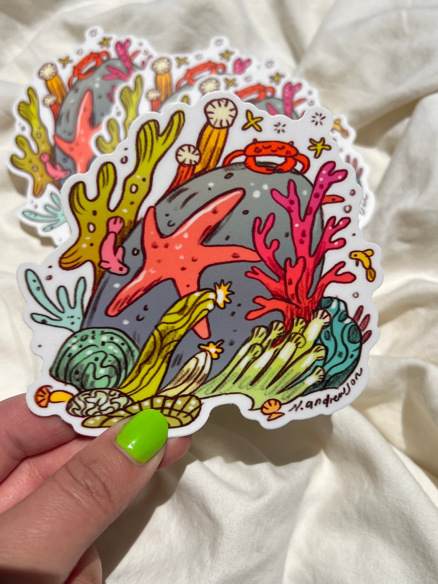 Sea Creatures Stickers ~ Set of 3