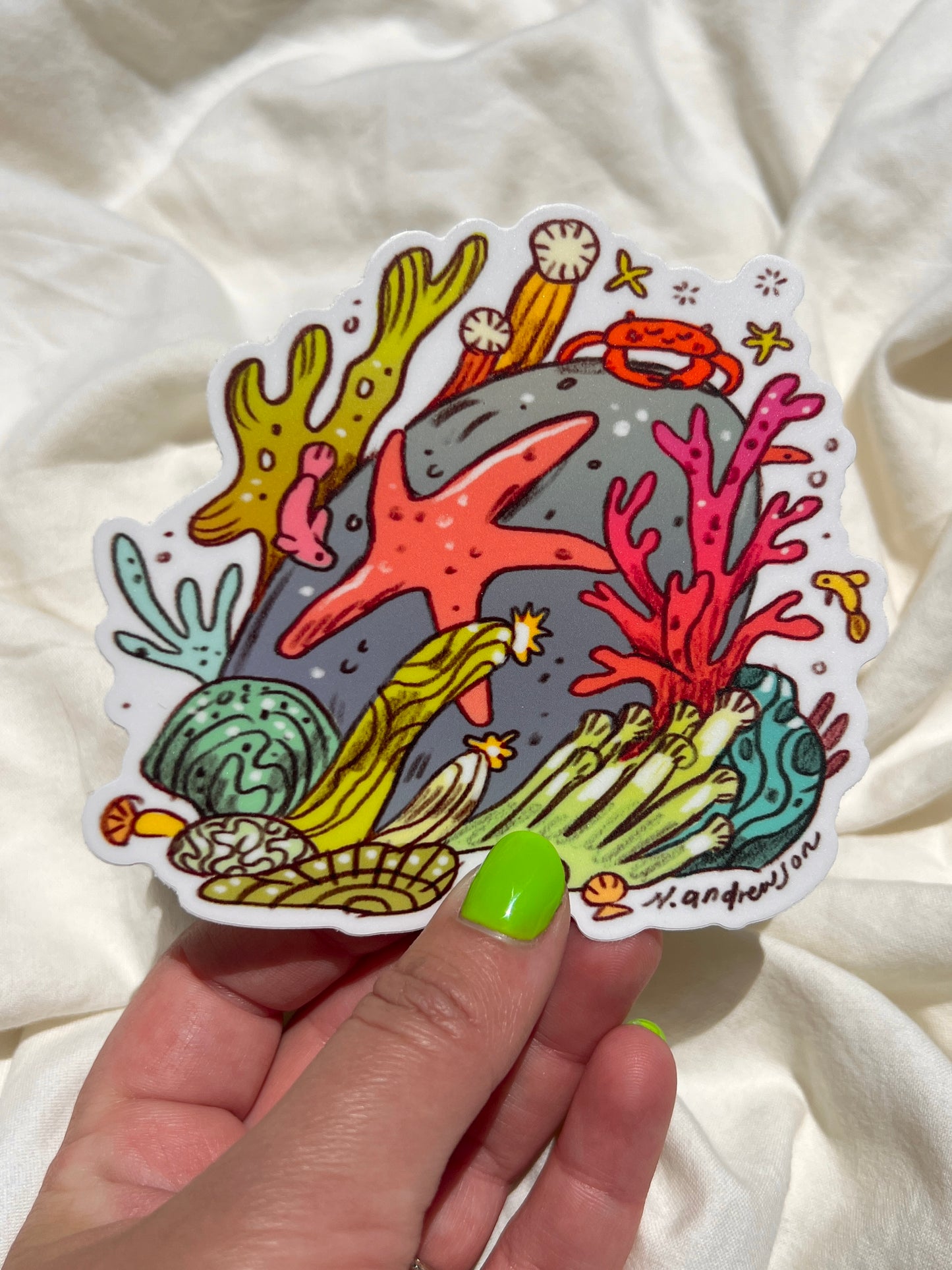 Sea Creatures Stickers ~ Set of 3