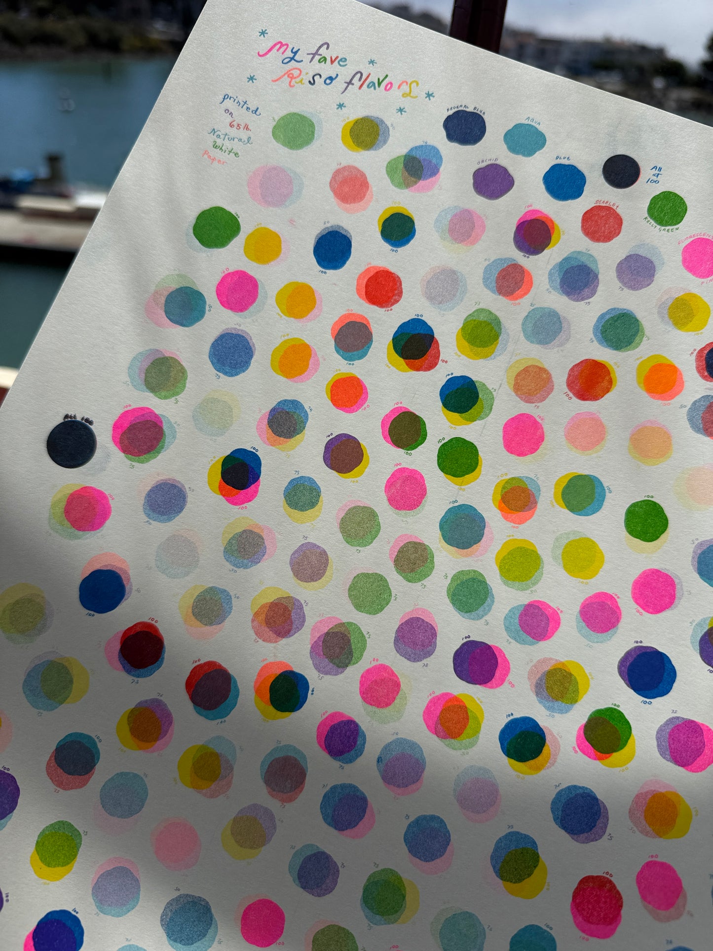 My Flavor Riso Dots