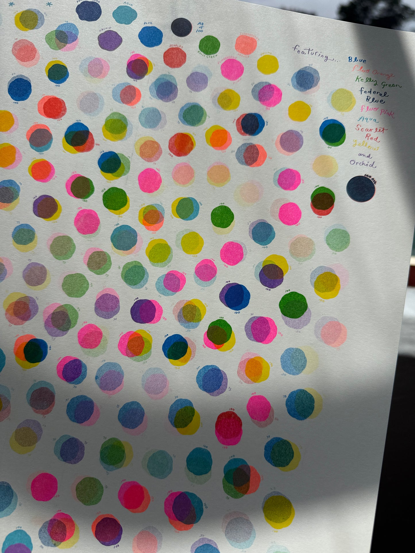 My Flavor Riso Dots