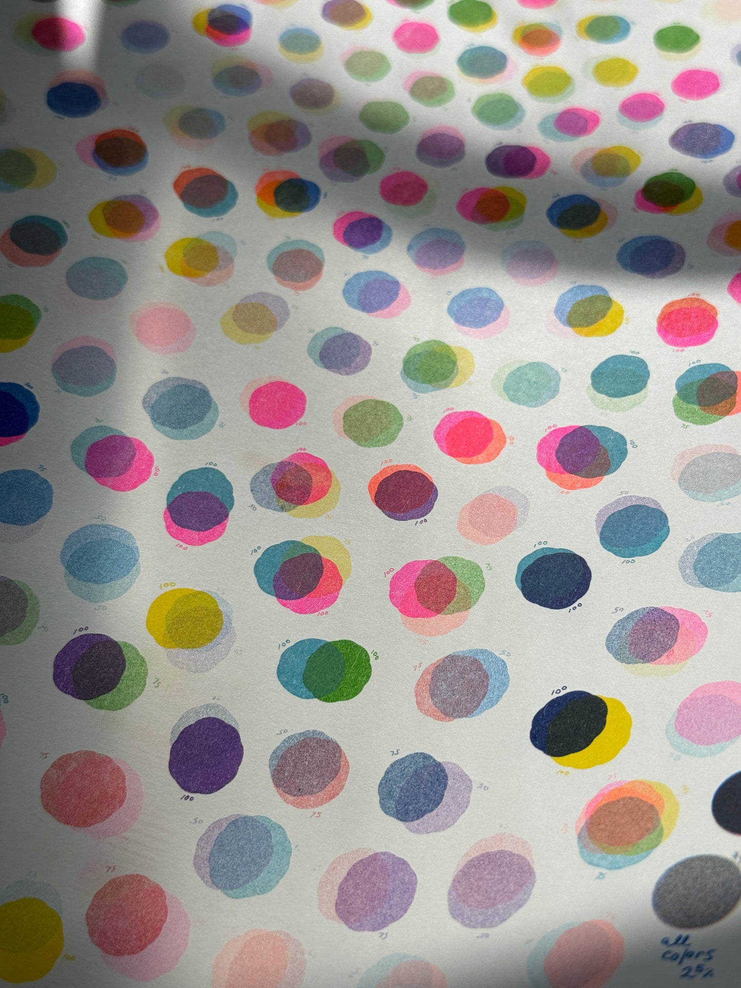My Flavor Riso Dots