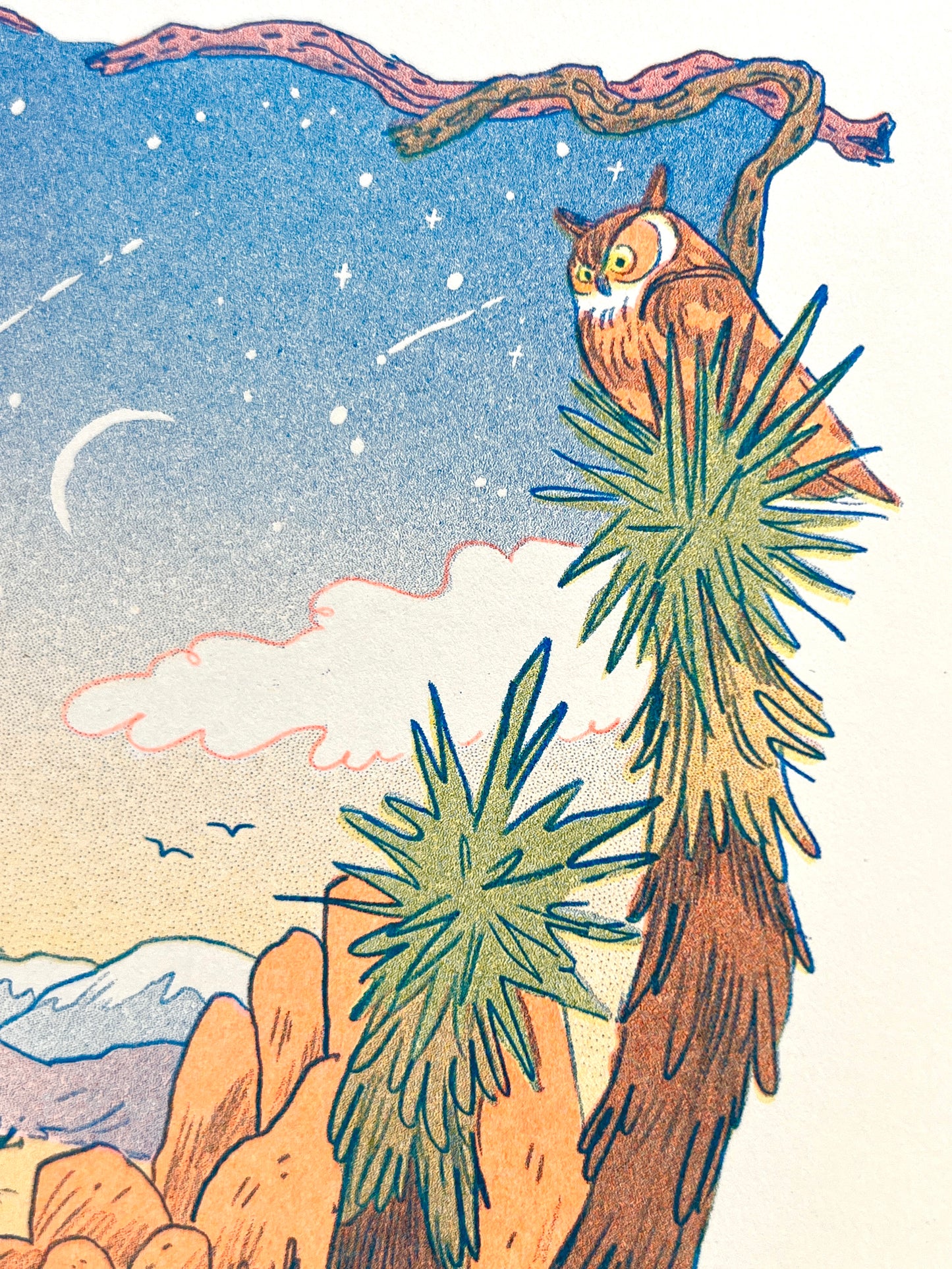 Desert Dreams Riso Print