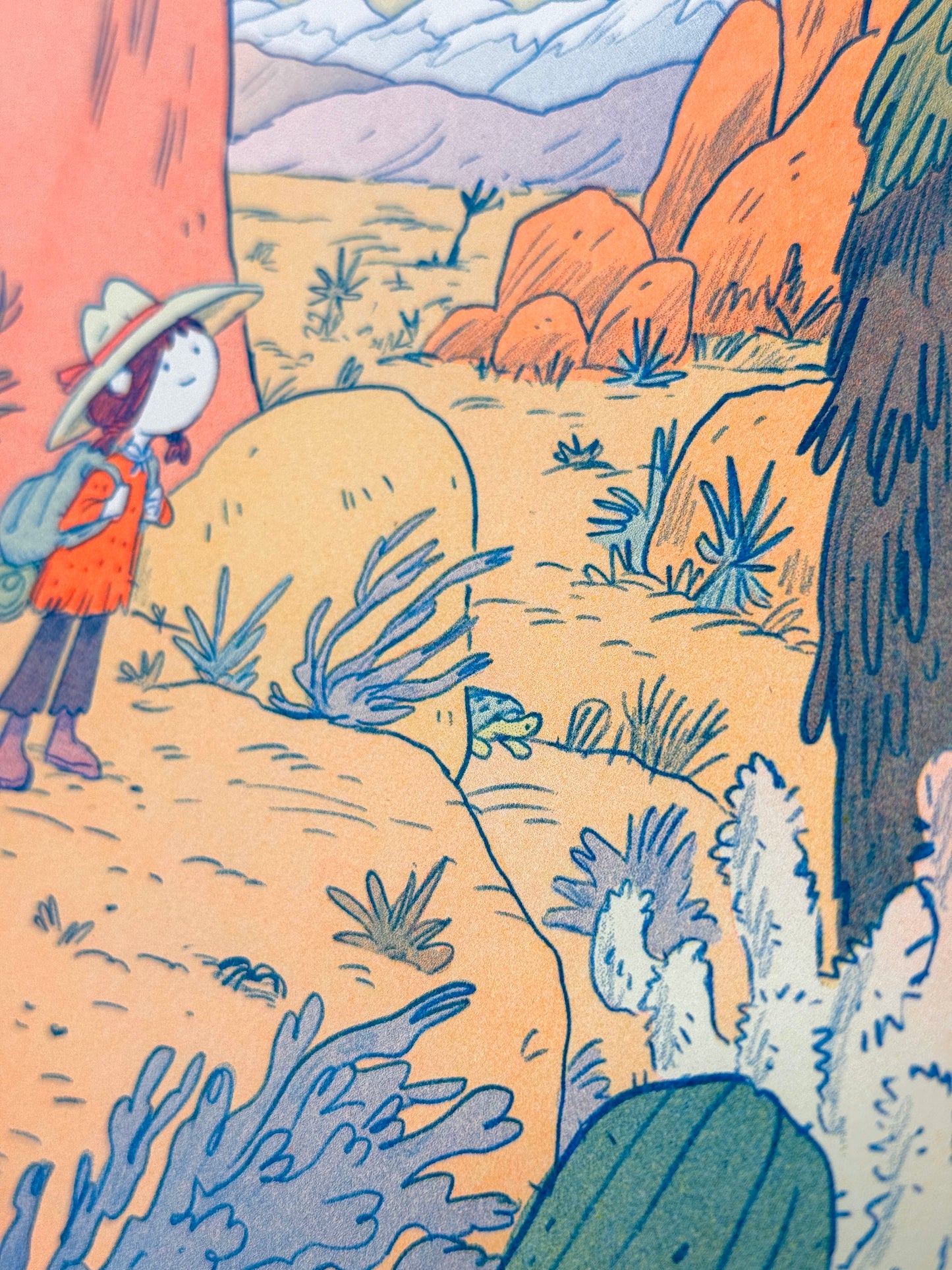 Desert Dreams Large Riso Print