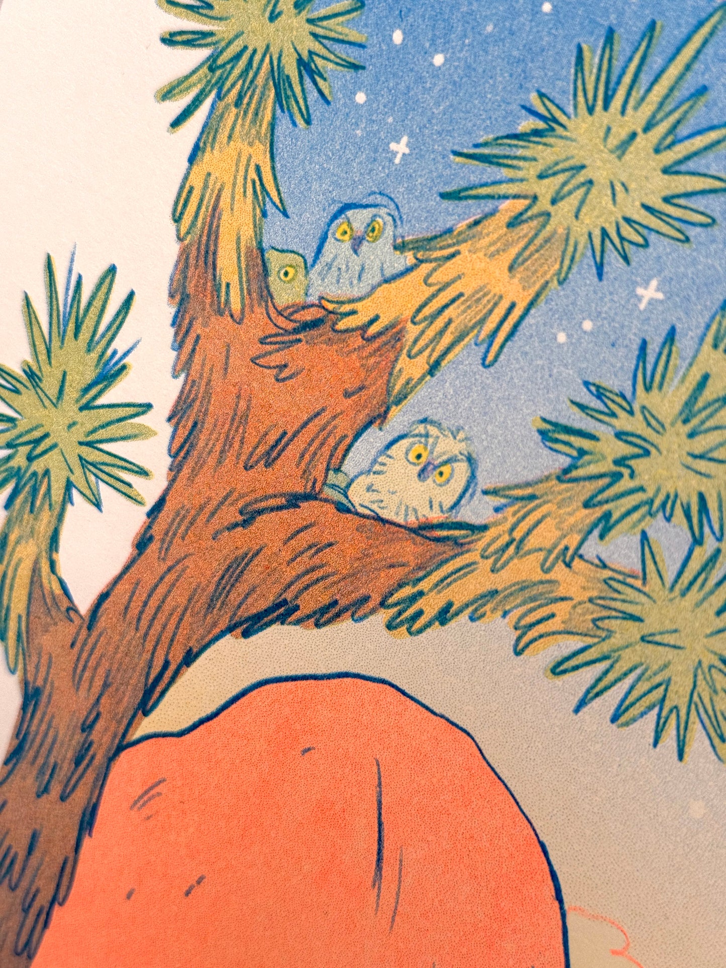 Desert Dreams Large Riso Print