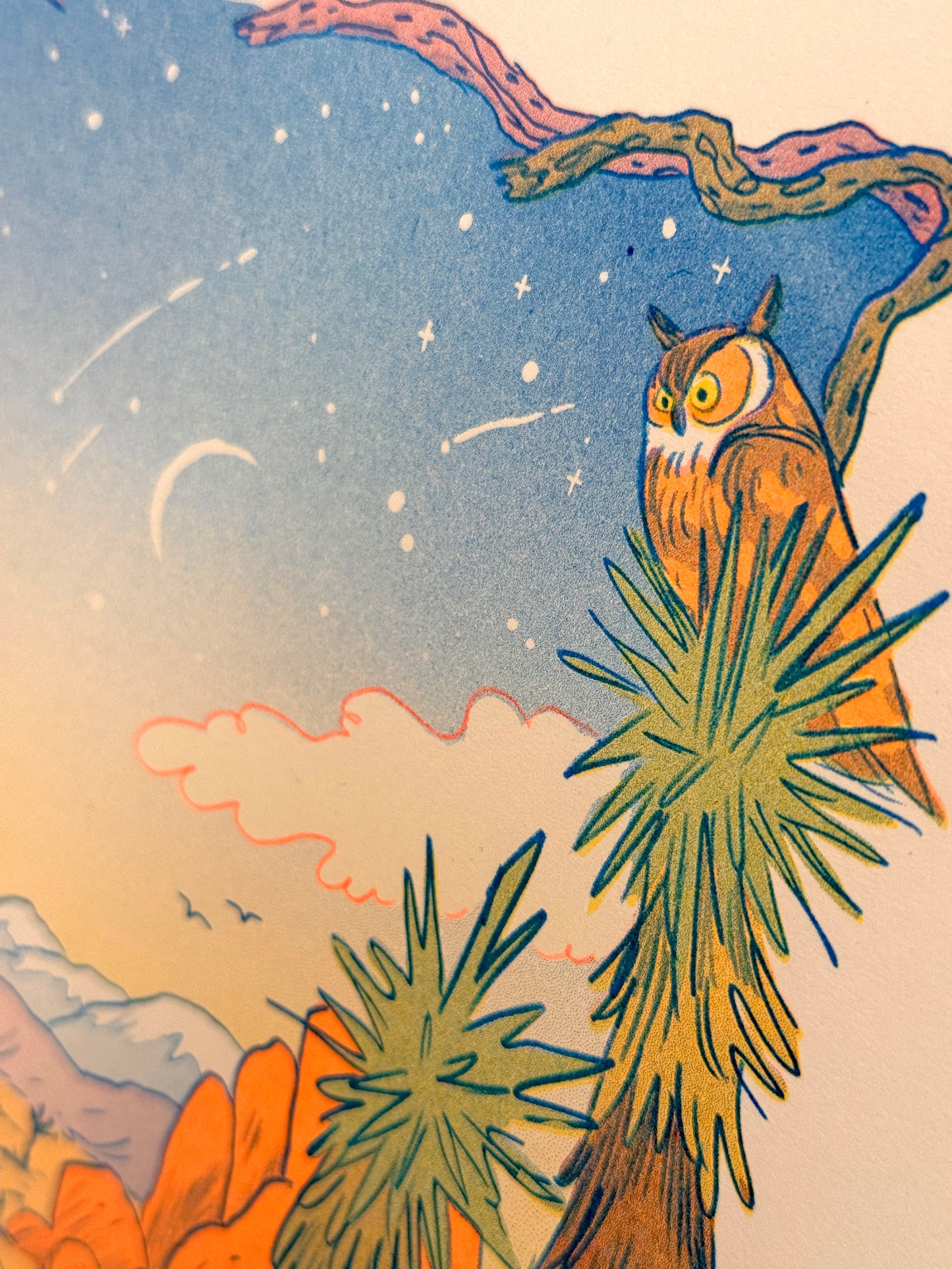 Desert Dreams Large Riso Print