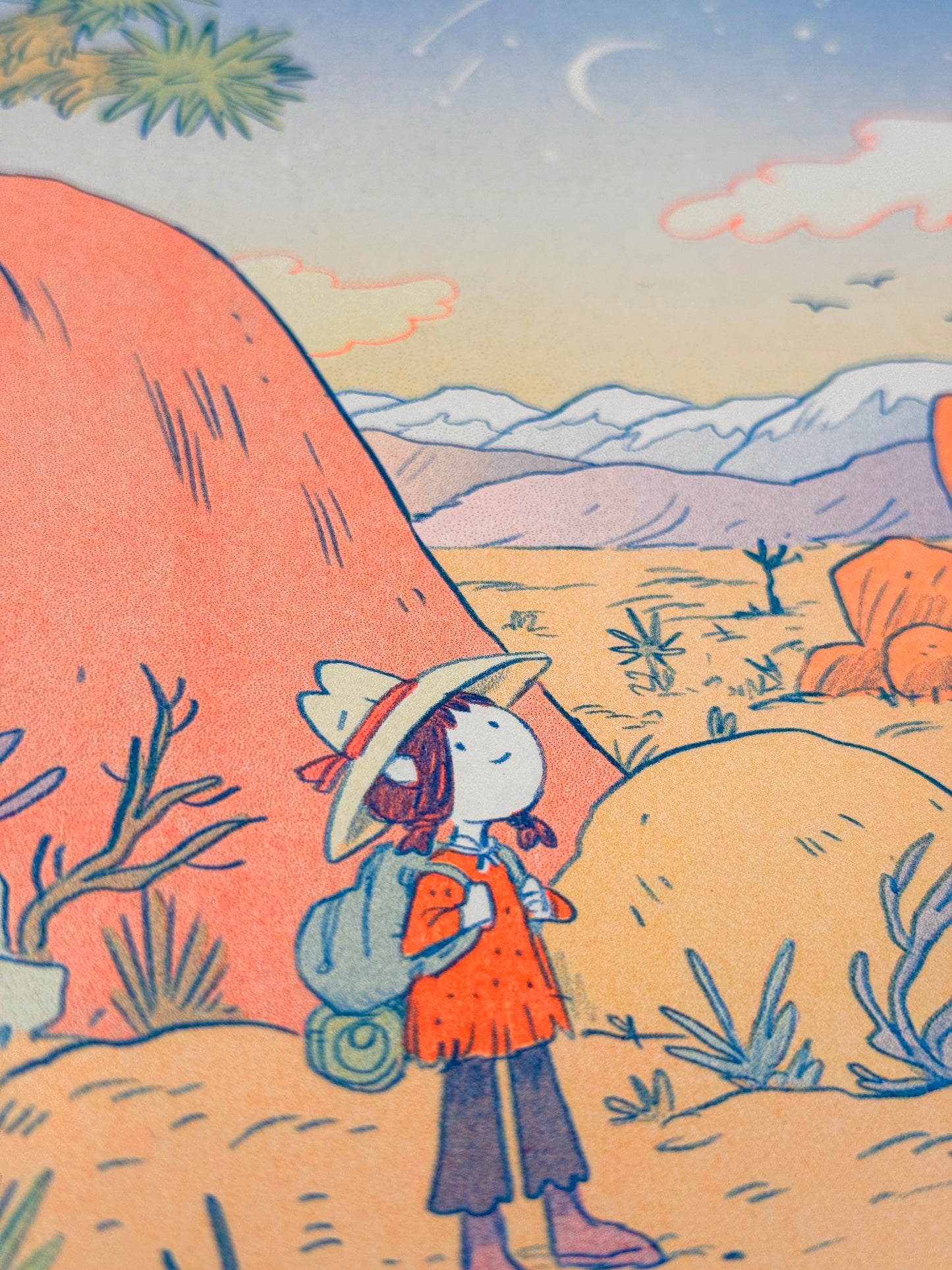 Desert Dreams Large Riso Print