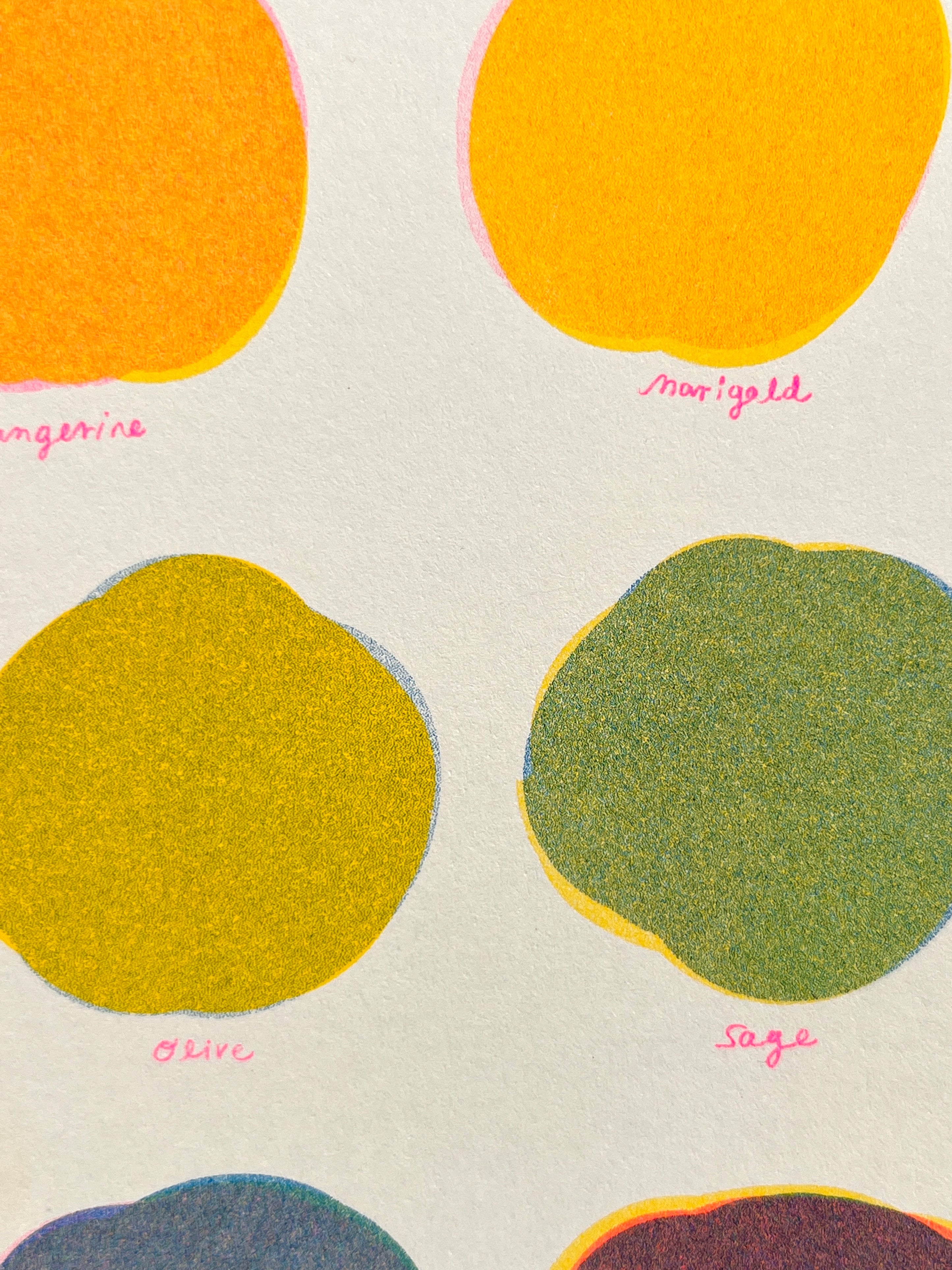 Riso Color Swatch in Blue, Yellow and Fluorescent Pink – natalie andrewson